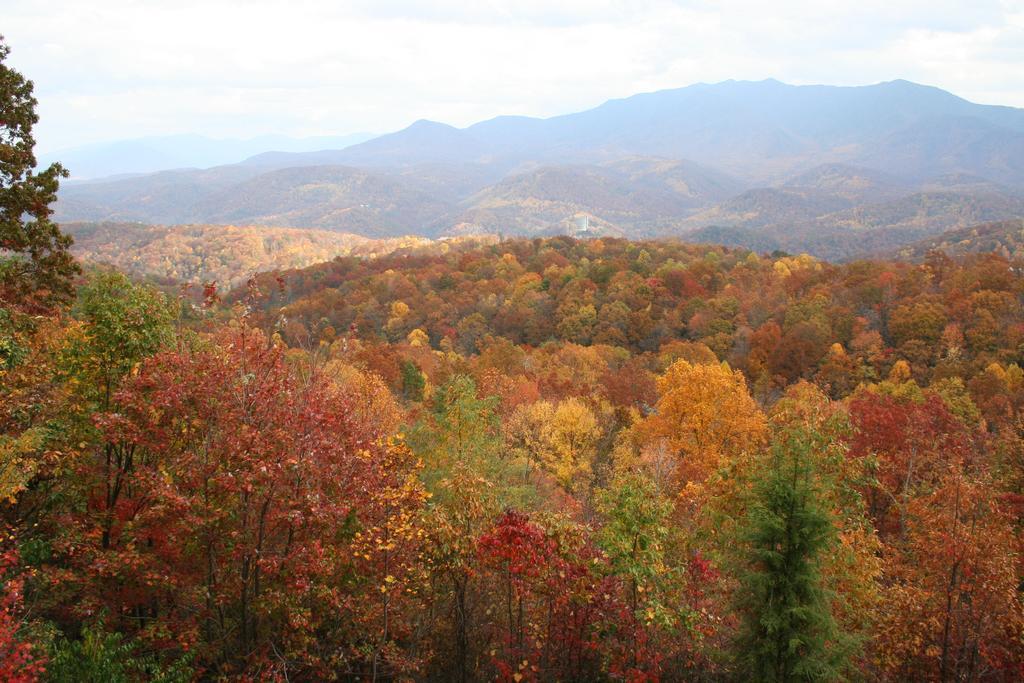 The Foxtrot Bed And Breakfast Gatlinburg Luaran gambar